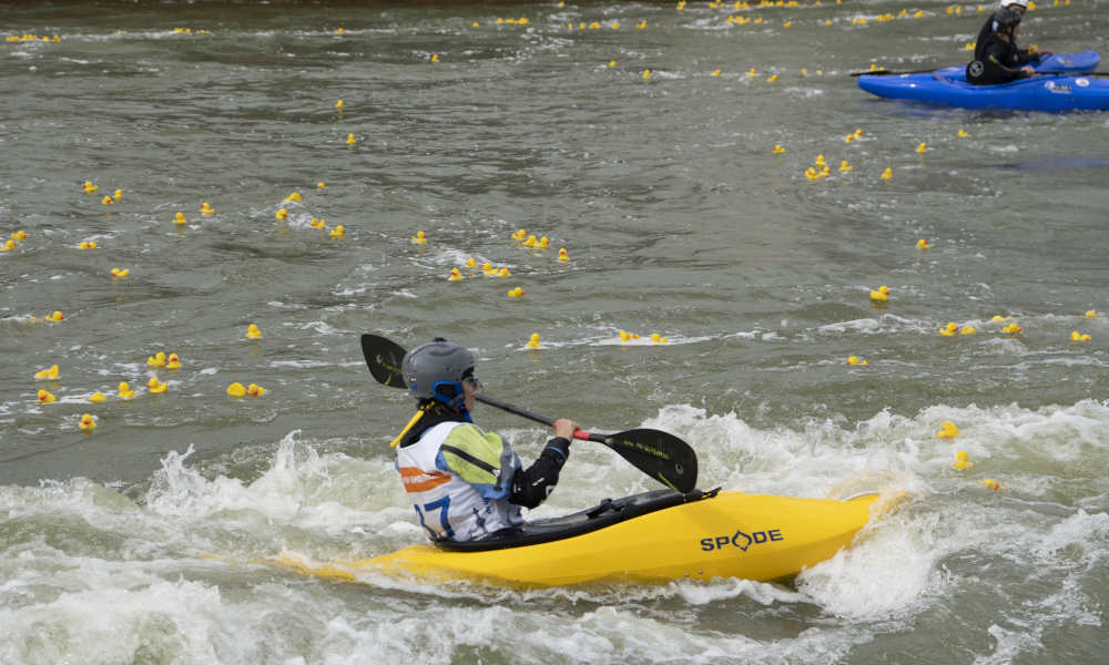 Zahlreiche Plastikenten schwimmen auf dem Wasser und werden von drei Kayakfahrer:innen eingesammelt.